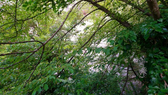DSC_0898.JPG