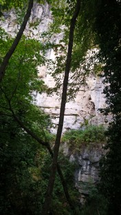 DSC_0900.JPG