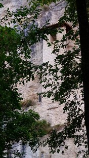 DSC_0901.JPG