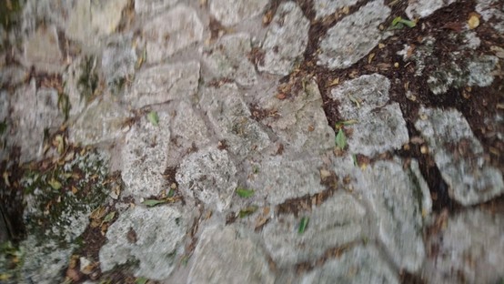 DSC_0904.JPG