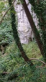 DSC_0905.JPG