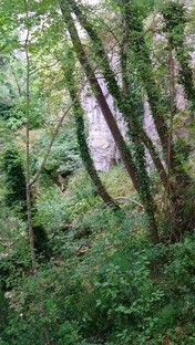 DSC_0906.JPG