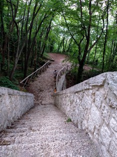 IMG_20200803_143100.jpg