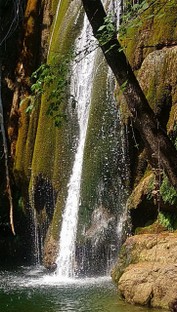 DSC_1147.JPG