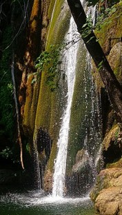 DSC_1151.JPG