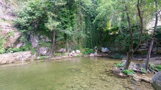 DSC_1164.JPG