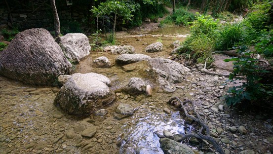 DSC_1166.JPG