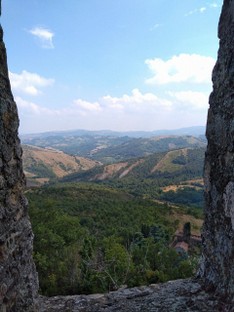 IMG_20200823_131825.jpg