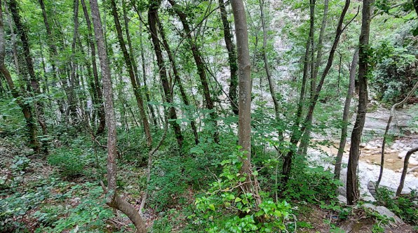 Gola del Salinello