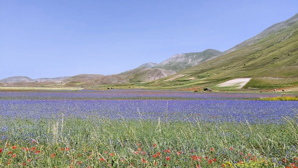 CASTELLUCCIO