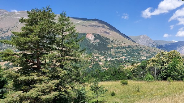 MONTEMONACO